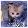 rawr.jpg